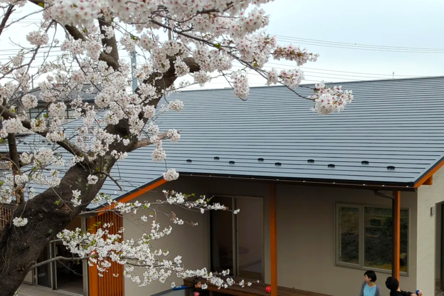 「桜に望む土間リビングのある平屋」